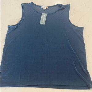 Coldwater Creek River Blue Top